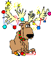 Reindeer